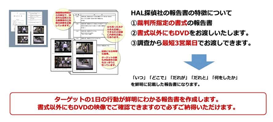 HAL探偵社の報告書の特徴について