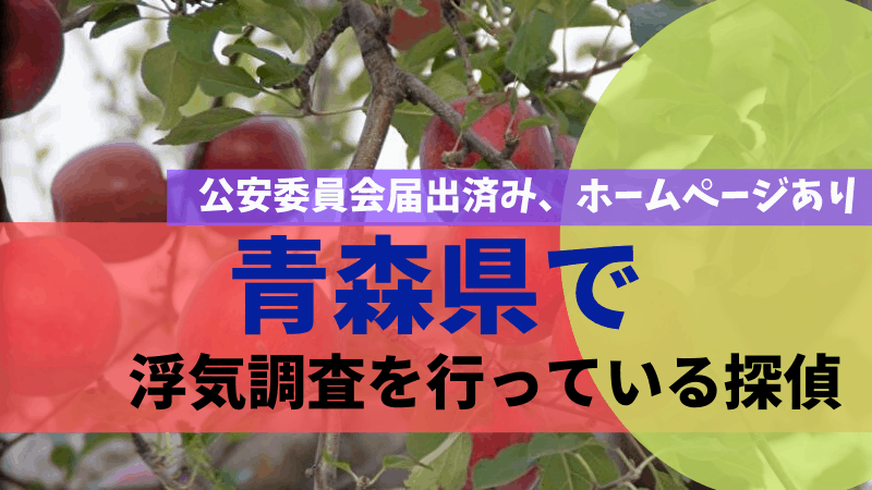 青森県で浮気調査を行っている探偵