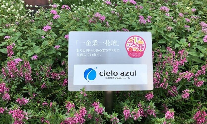 cielo azul 一企業一花壇運動