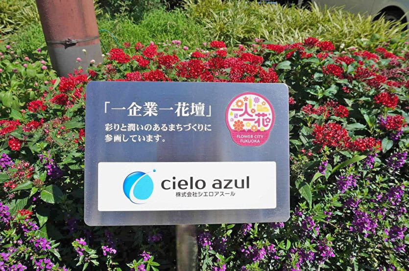 一企業一花壇 cielo azul