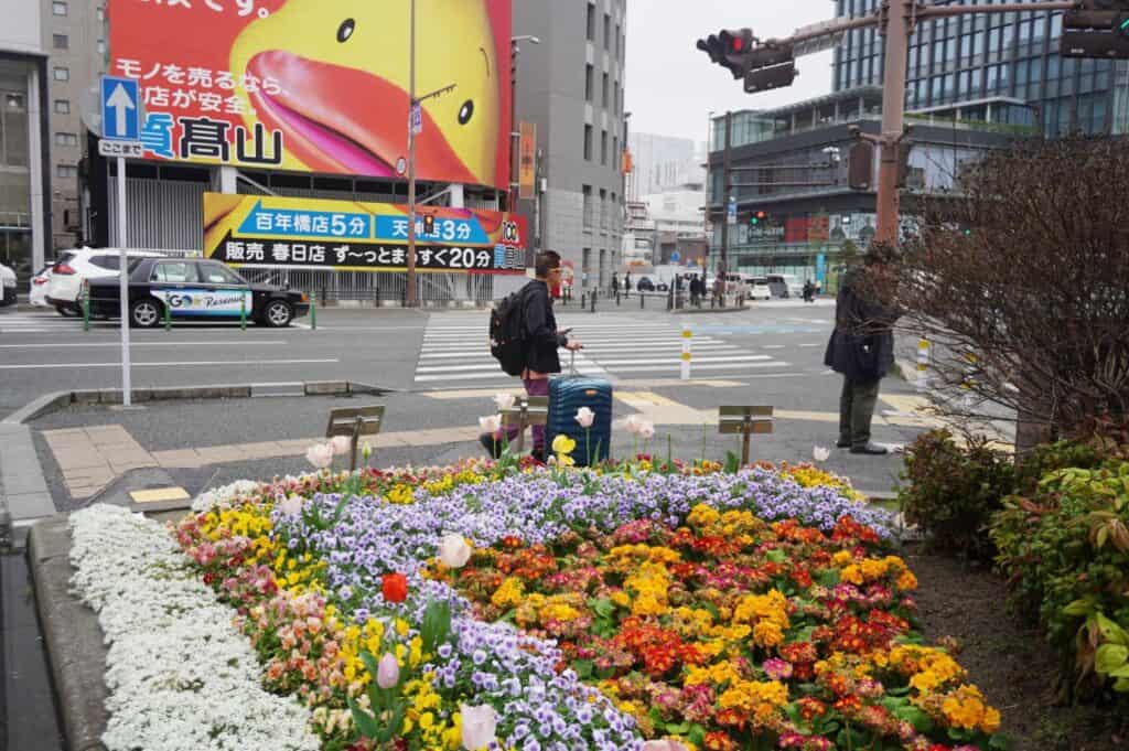 福岡市のおもてなし花壇(スポンサー花壇)2026年春の様子
