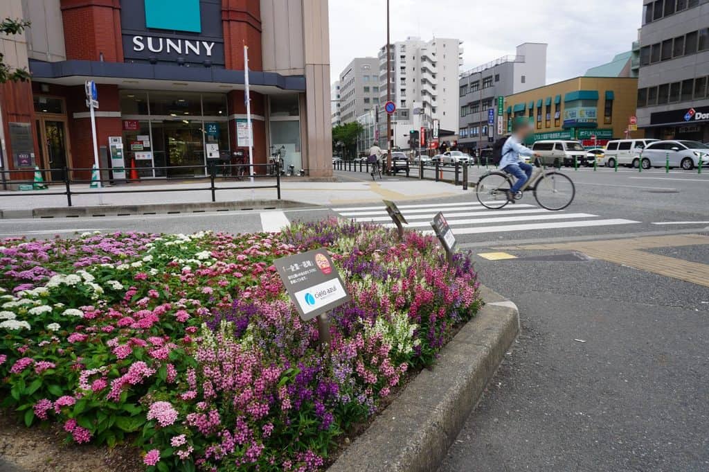福岡市の交差点に設置されたcielo azulのおもてなし花壇と周辺の街並み